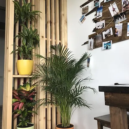 Mica Sirena Apartment